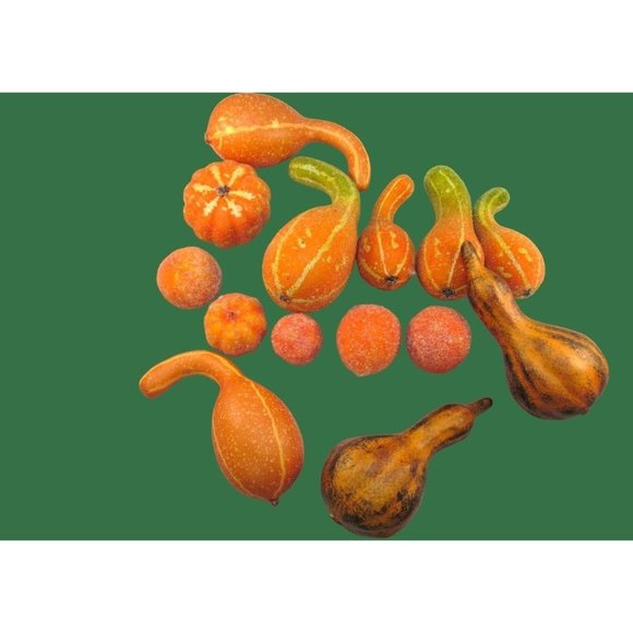 Variety of 14 Fall Decorative Artificial Pumpkins Squash Home Decor - Picture 1 of 12